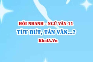 Tùy bút, Tản văn là gì? yếu tố tự sự, yếu tố trữ tình trong tùy bút, tản văn? Ngữ Văn lớp 11